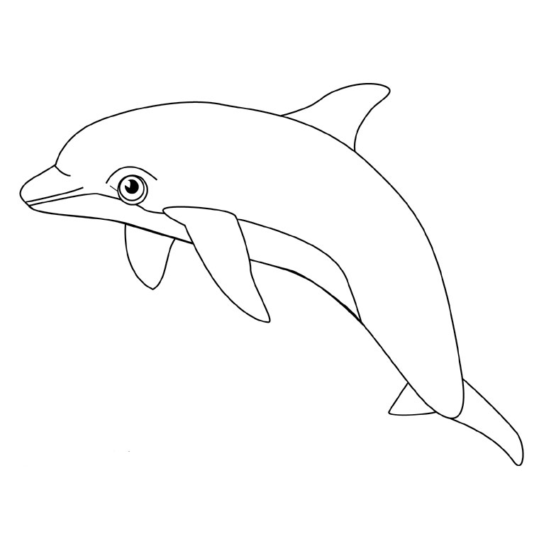 ぬりえページ: イルカ (動物) #5096 - 無料の印刷可能なぬりえページ