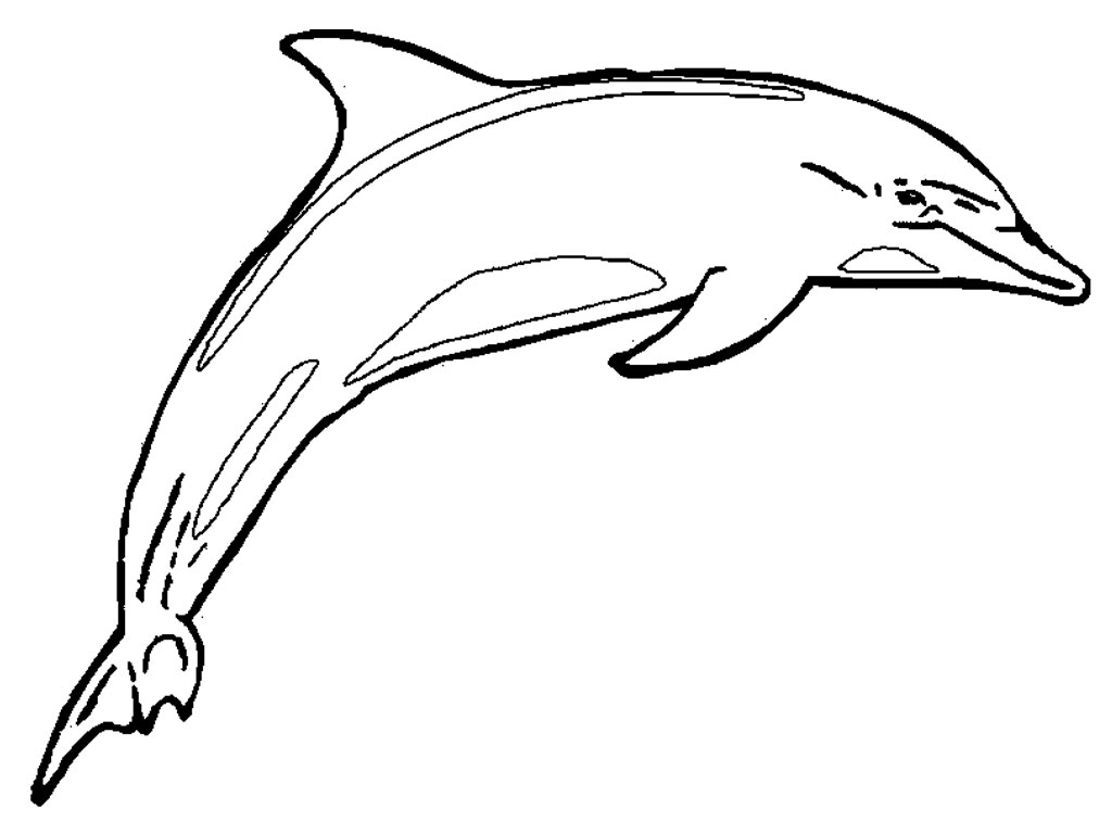 ぬりえページ: イルカ (動物) #5099 - 無料の印刷可能なぬりえページ