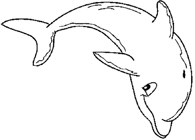 ぬりえページ: イルカ (動物) #5112 - 無料の印刷可能なぬりえページ