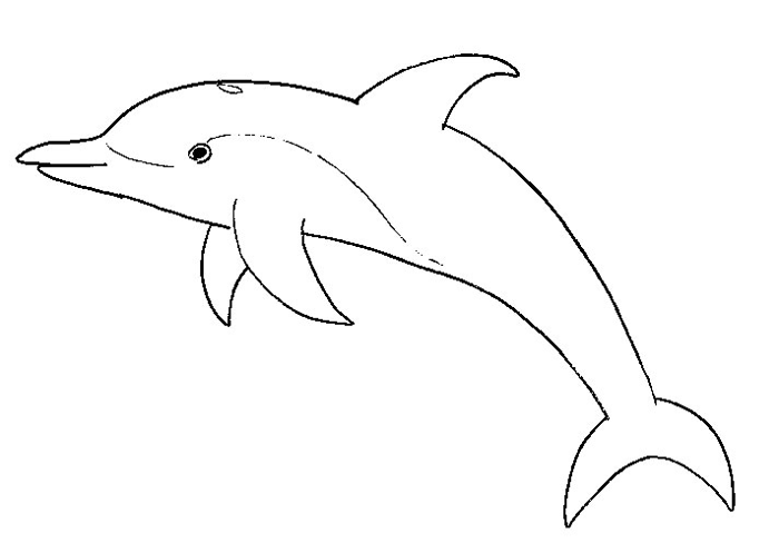 ぬりえページ: イルカ (動物) #5145 - 無料の印刷可能なぬりえページ