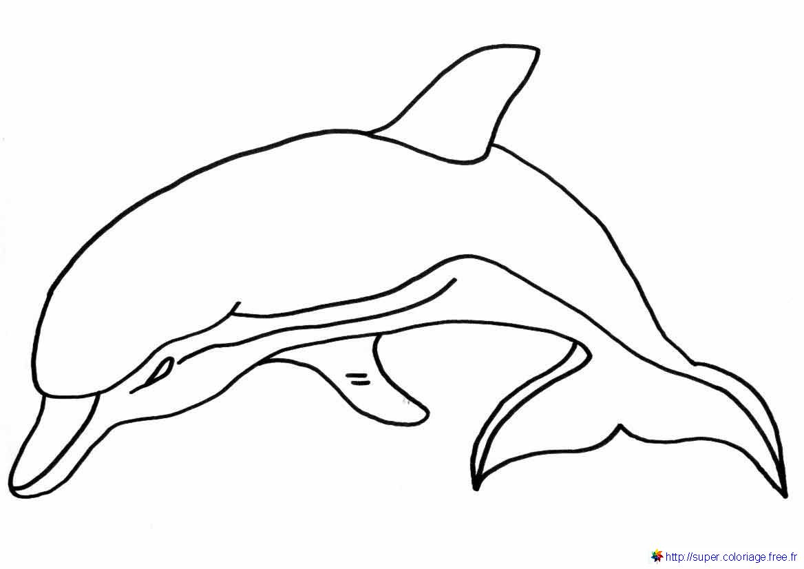 ぬりえページ: イルカ (動物) #5186 - 無料の印刷可能なぬりえページ
