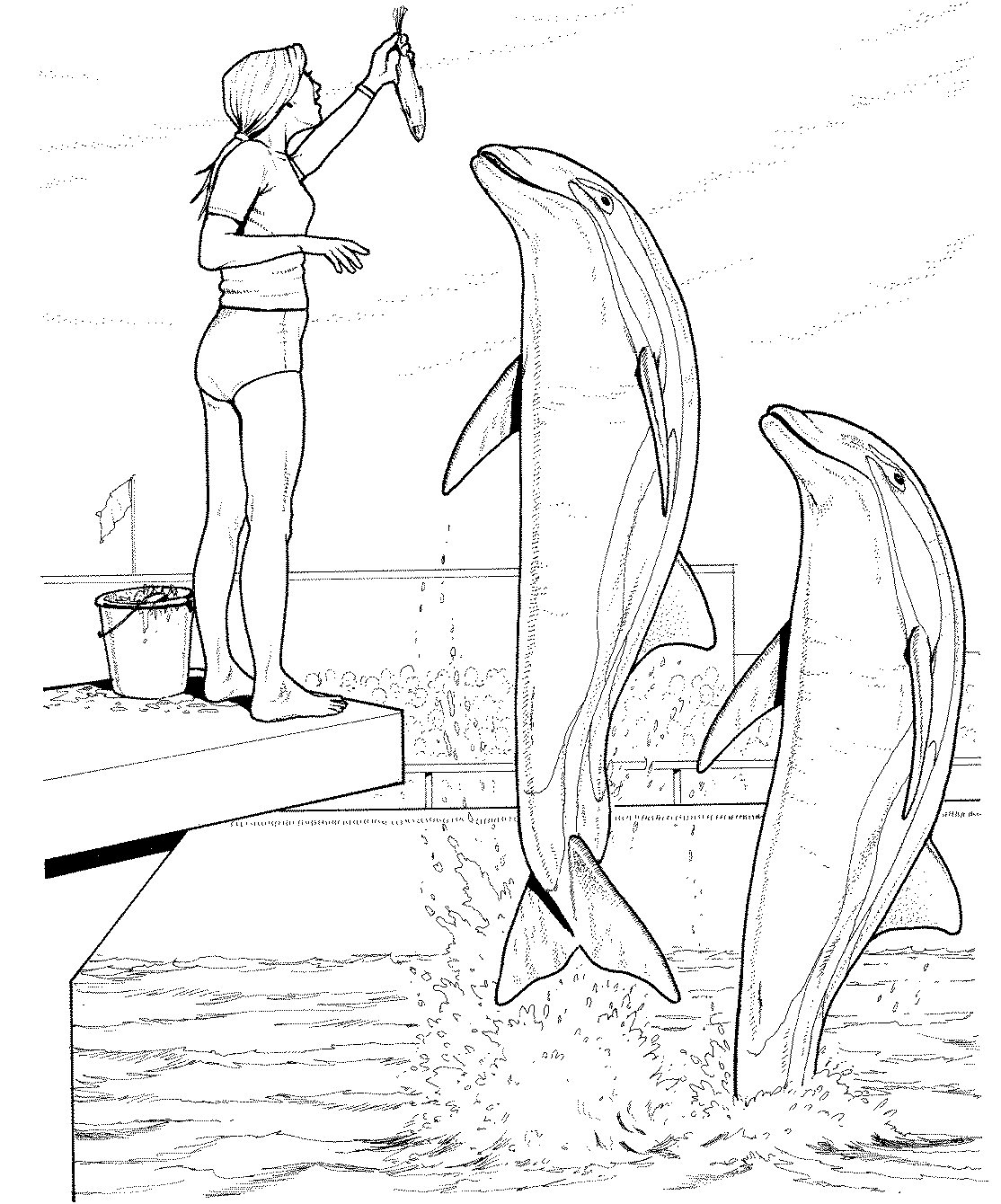 ぬりえページ: イルカ (動物) #5191 - 無料の印刷可能なぬりえページ