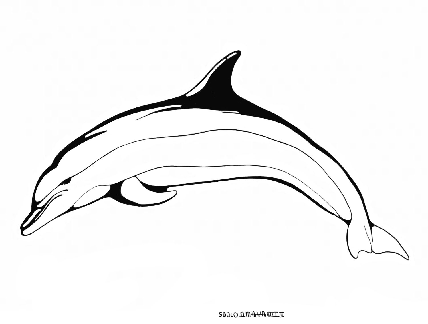 ぬりえページ: イルカ (動物) #5220 - 無料の印刷可能なぬりえページ