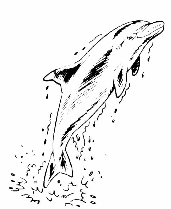 ぬりえページ: イルカ (動物) #5246 - 無料の印刷可能なぬりえページ