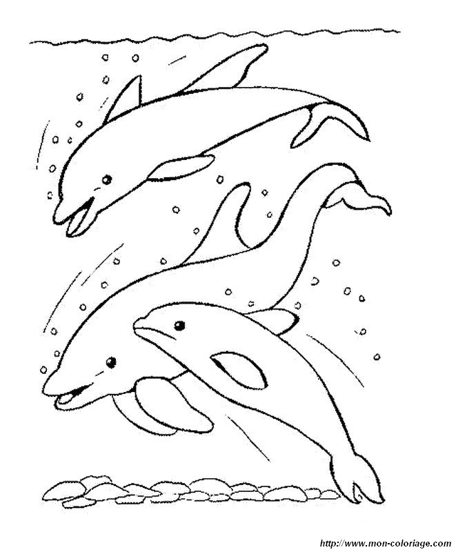 ぬりえページ: イルカ (動物) #5251 - 無料の印刷可能なぬりえページ