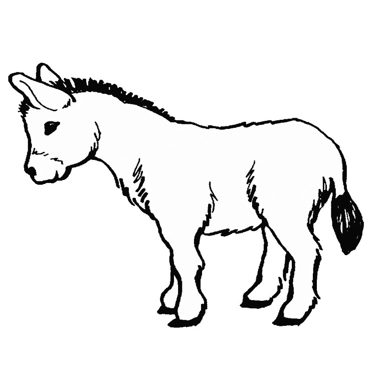 ぬりえページ: ロバ (動物) #484 - 無料の印刷可能なぬりえページ