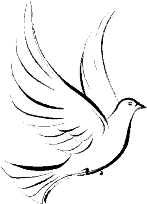 ぬりえページ: 鳩 (動物) #3884 - 無料の印刷可能なぬりえページ