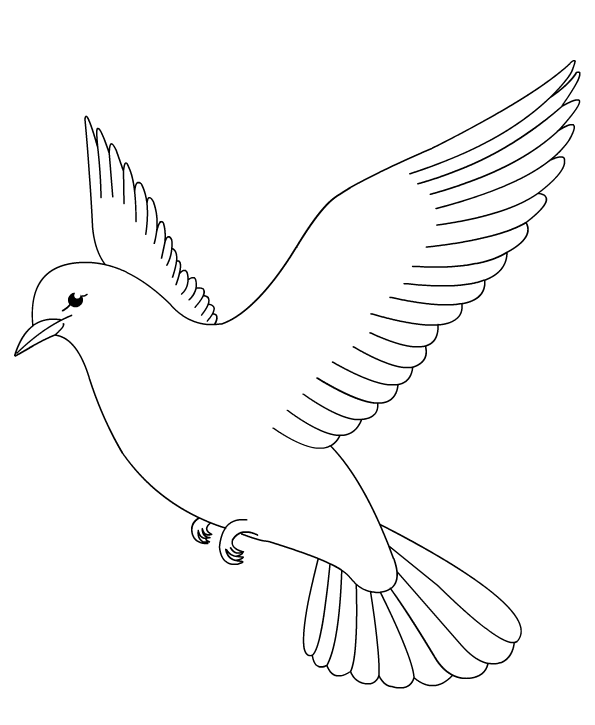 ぬりえページ: 鳩 (動物) #3895 - 無料の印刷可能なぬりえページ