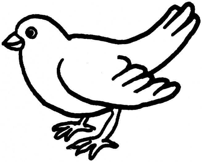 ぬりえページ: 鳩 (動物) #3959 - 無料の印刷可能なぬりえページ