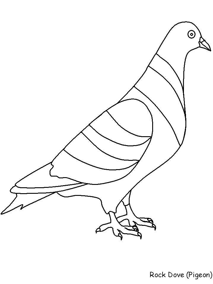 ぬりえページ: 鳩 (動物) #3983 - 無料の印刷可能なぬりえページ