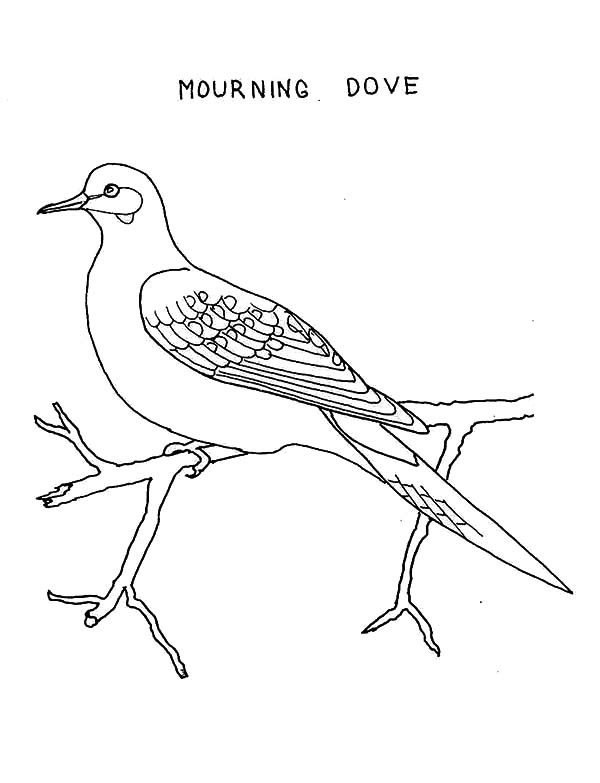 ぬりえページ: 鳩 (動物) #4005 - 無料の印刷可能なぬりえページ