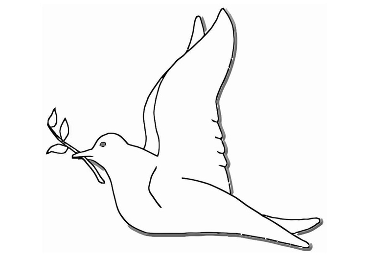 ぬりえページ: 鳩 (動物) #4024 - 無料の印刷可能なぬりえページ