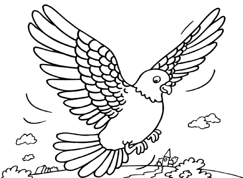 ぬりえページ: 鳩 (動物) #4026 - 無料の印刷可能なぬりえページ
