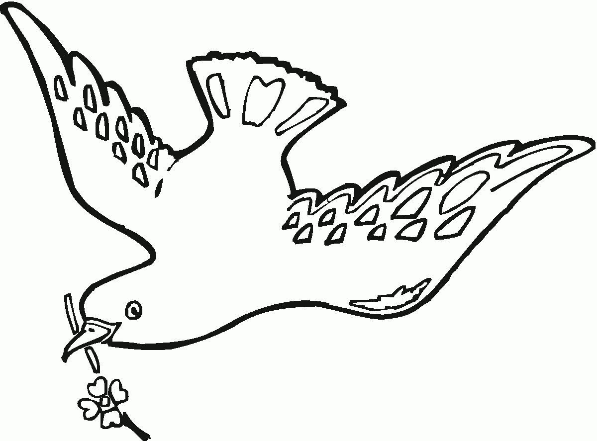 ぬりえページ: 鳩 (動物) #4028 - 無料の印刷可能なぬりえページ