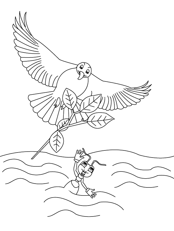 ぬりえページ: 鳩 (動物) #4062 - 無料の印刷可能なぬりえページ