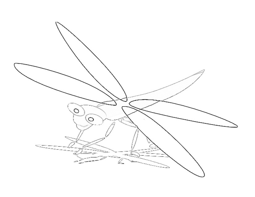 ぬりえページ: トンボ (動物) #9965 - 無料の印刷可能なぬりえページ