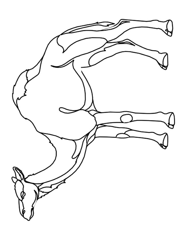 ぬりえページ: ヒトコブラクダ (動物) #5925 - 無料の印刷可能なぬりえページ