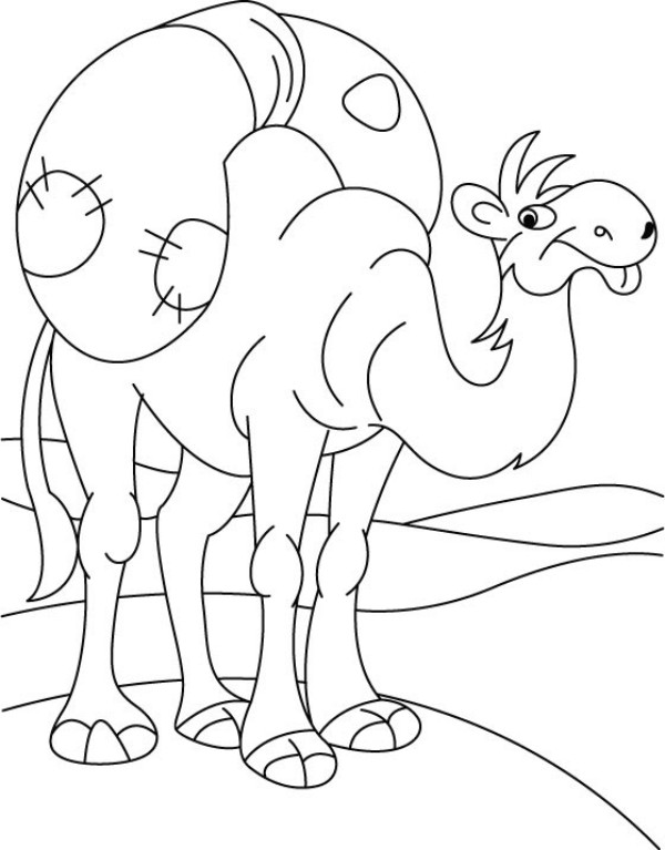 ぬりえページ: ヒトコブラクダ (動物) #5995 - 無料の印刷可能なぬりえページ