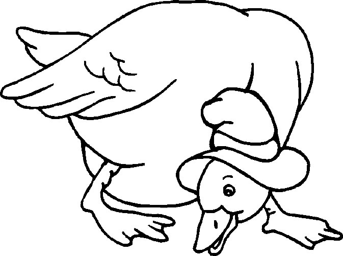 ぬりえページ: アヒル (動物) #1539 - 無料の印刷可能なぬりえページ