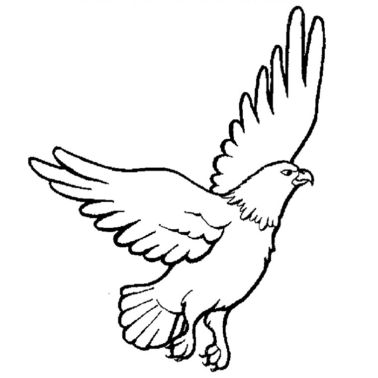 ぬりえページ: 鷲 (動物) #275 - 無料の印刷可能なぬりえページ