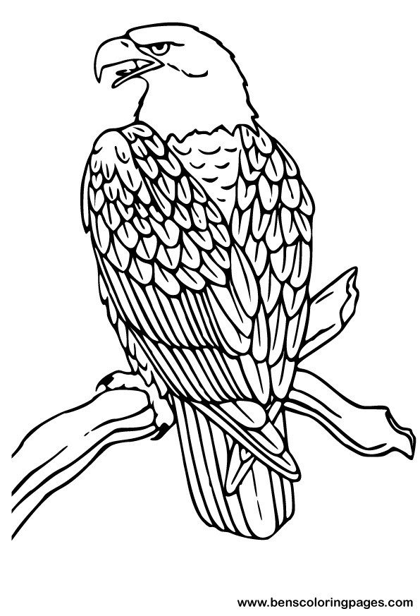 ぬりえページ: 鷲 (動物) #279 - 無料の印刷可能なぬりえページ