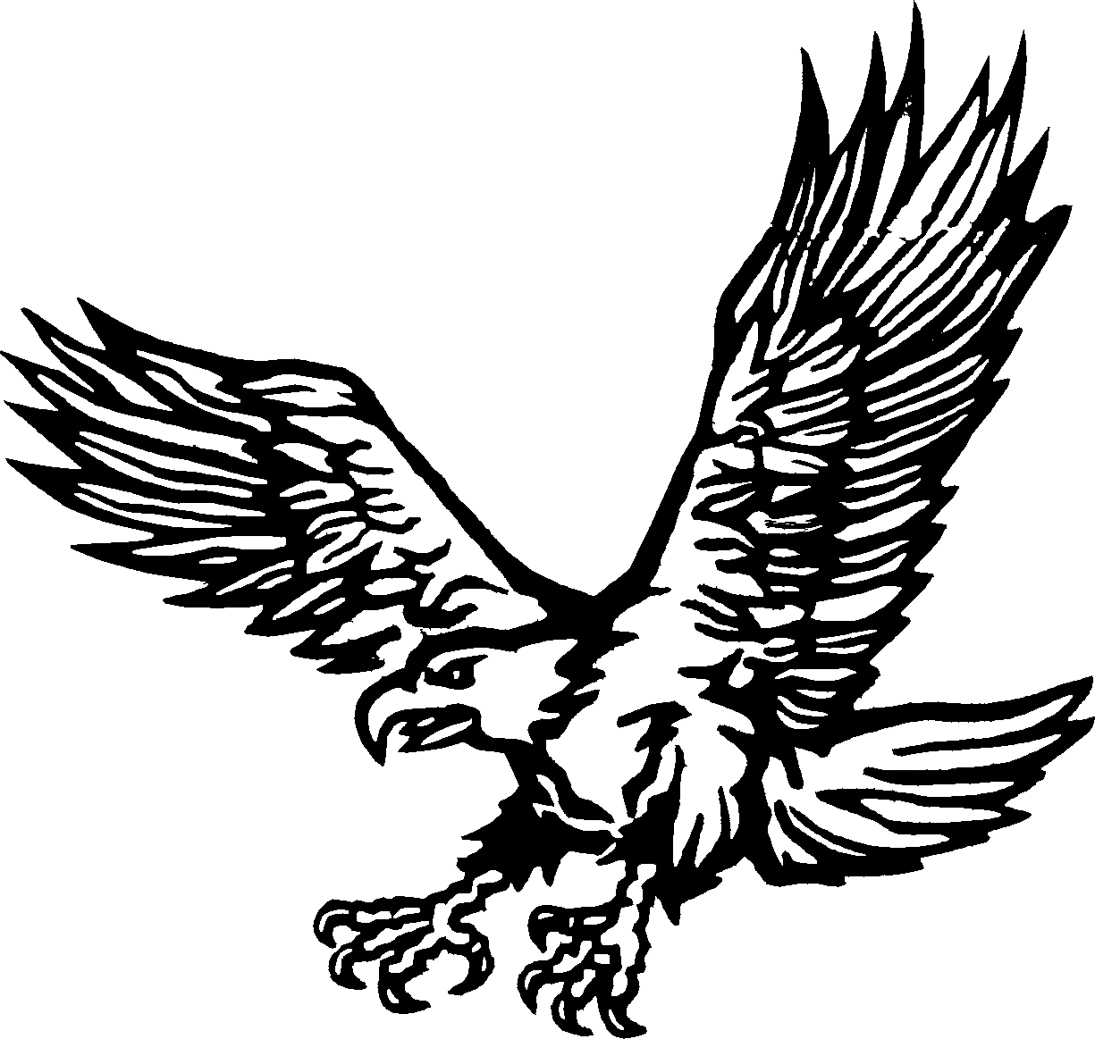 ぬりえページ: 鷲 (動物) #288 - 無料の印刷可能なぬりえページ