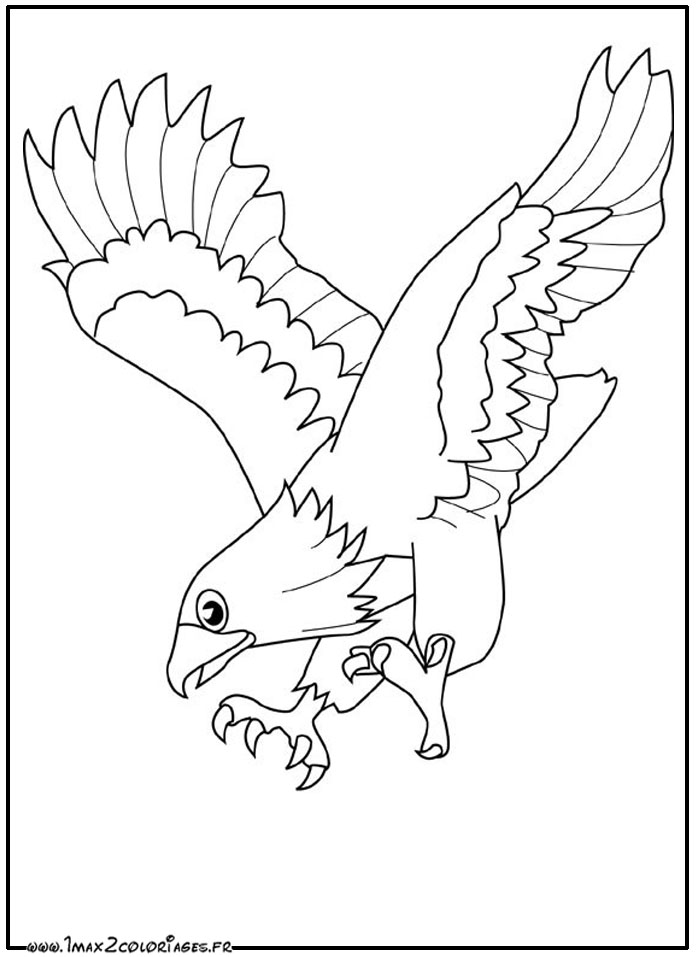 ぬりえページ: 鷲 (動物) #290 - 無料の印刷可能なぬりえページ