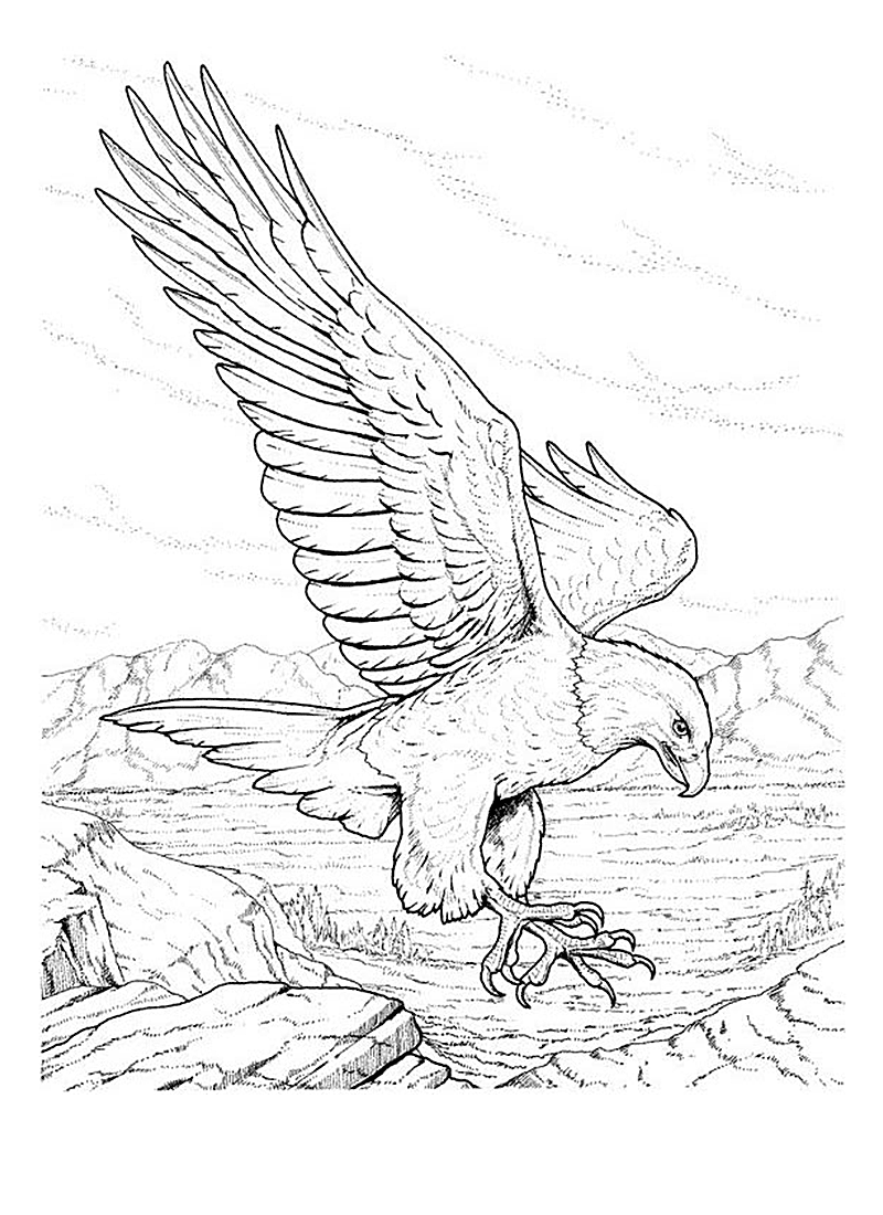 ぬりえページ: 鷲 (動物) #296 - 無料の印刷可能なぬりえページ