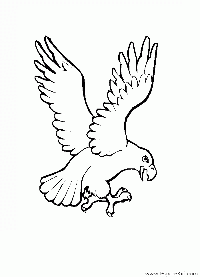 ぬりえページ: 鷲 (動物) #303 - 無料の印刷可能なぬりえページ
