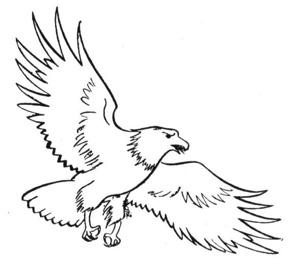 ぬりえページ: 鷲 (動物) #318 - 無料の印刷可能なぬりえページ