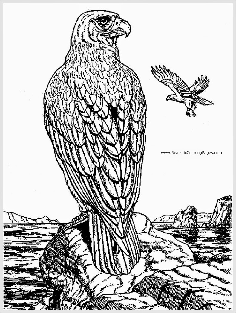 ぬりえページ: 鷲 (動物) #324 - 無料の印刷可能なぬりえページ