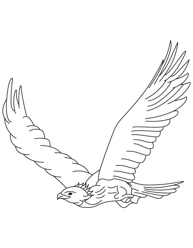 ぬりえページ: 鷲 (動物) #353 - 無料の印刷可能なぬりえページ
