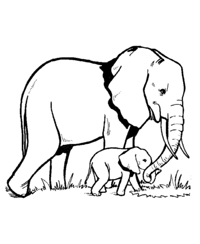 ぬりえページ: 象 (動物) #6300 - 無料の印刷可能なぬりえページ