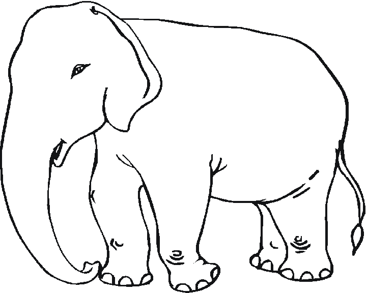 ぬりえページ: 象 (動物) #6342 - 無料の印刷可能なぬりえページ