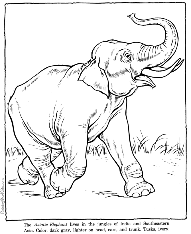 ぬりえページ: 象 (動物) #6418 - 無料の印刷可能なぬりえページ