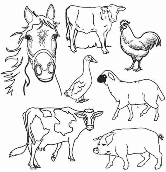 ぬりえページ: 農場の動物 (動物) #21381 - 無料の印刷可能なぬりえページ