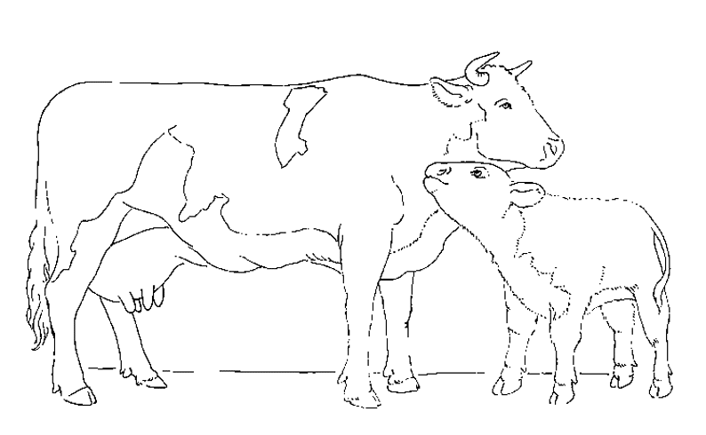 ぬりえページ: 農場の動物 (動物) #21405 - 無料の印刷可能なぬりえページ