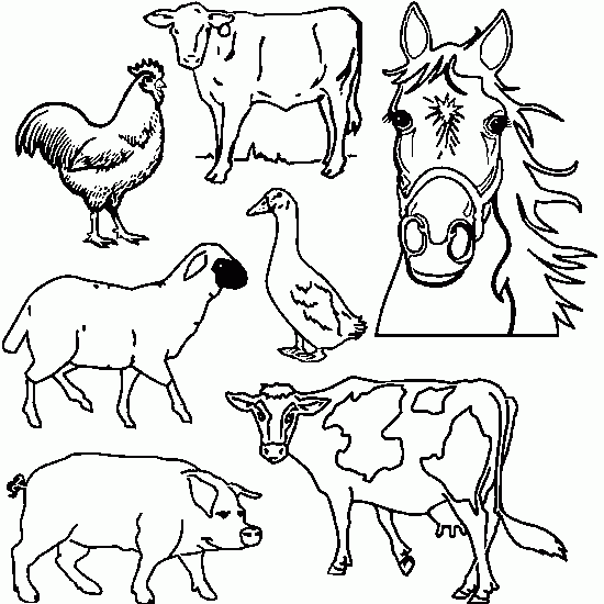 ぬりえページ: 農場の動物 (動物) #21427 - 無料の印刷可能なぬりえページ