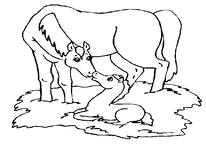 ぬりえページ: 農場の動物 (動物) #21612 - 無料の印刷可能なぬりえページ