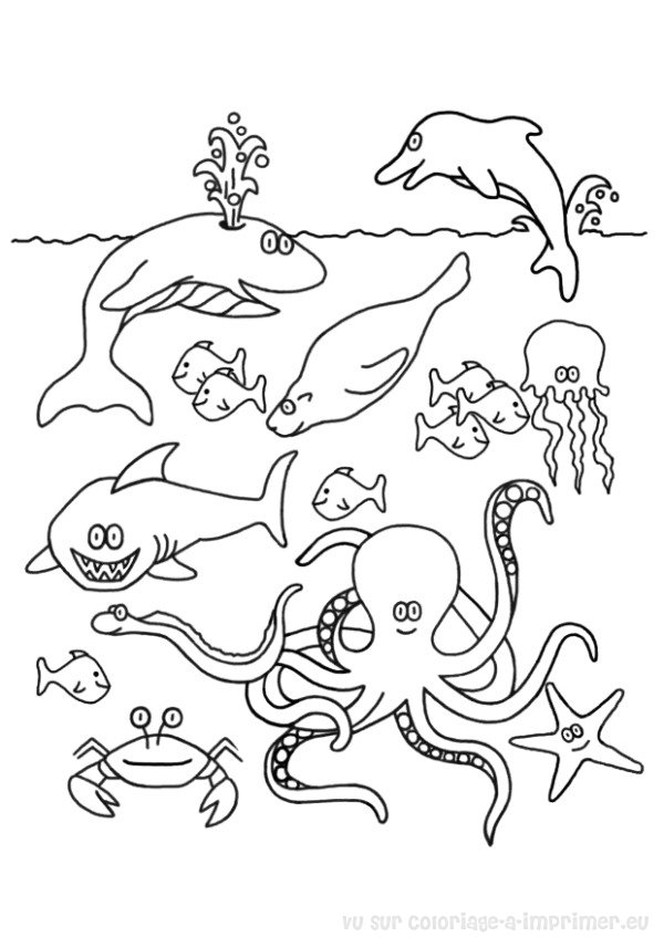 ぬりえページ: 魚 (動物) #17036 - 無料の印刷可能なぬりえページ