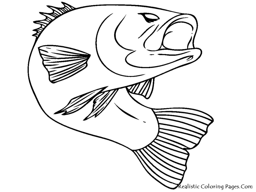 ぬりえページ: 魚 (動物) #17040 - 無料の印刷可能なぬりえページ