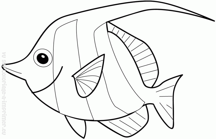 ぬりえページ: 魚 (動物) #17122 - 無料の印刷可能なぬりえページ