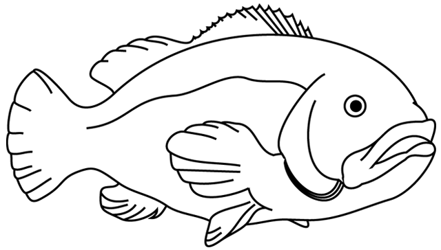 ぬりえページ: 魚 (動物) #17124 - 無料の印刷可能なぬりえページ