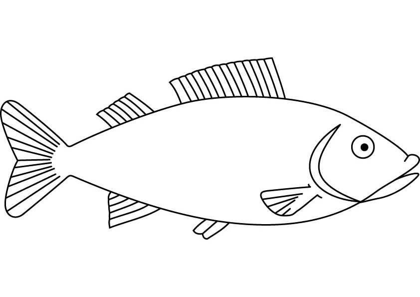 ぬりえページ: 魚 (動物) #17171 - 無料の印刷可能なぬりえページ