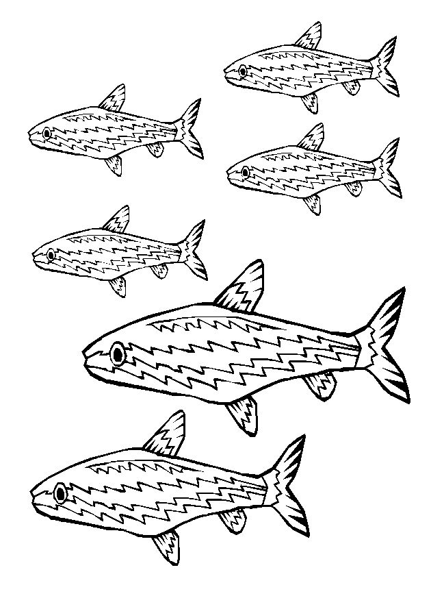 ぬりえページ: 魚 (動物) #17179 - 無料の印刷可能なぬりえページ