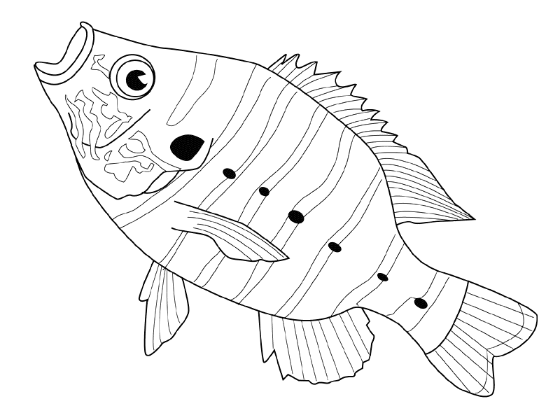 ぬりえページ: 魚 (動物) #17201 - 無料の印刷可能なぬりえページ
