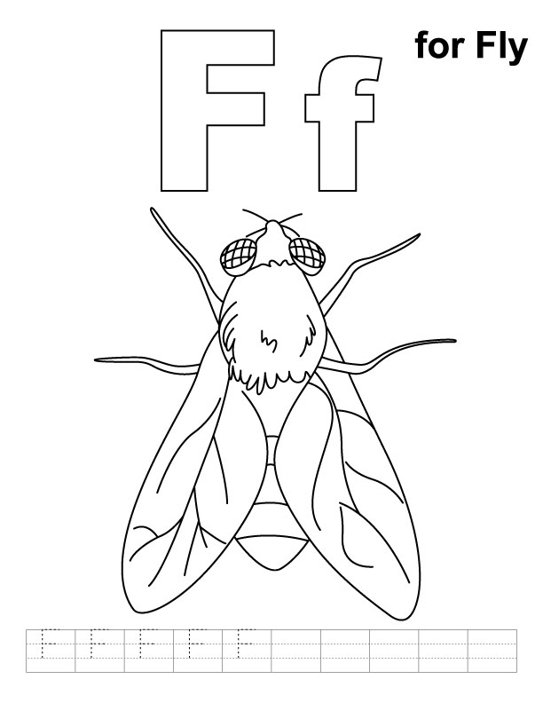 ぬりえページ: 飛ぶ (動物) #11129 - 無料の印刷可能なぬりえページ