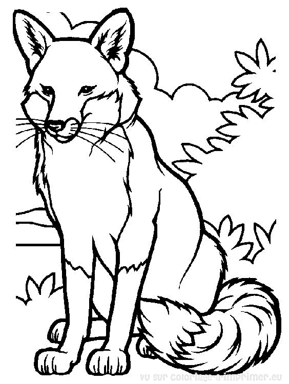 ぬりえページ: 狐 (動物) #14965 - 無料の印刷可能なぬりえページ