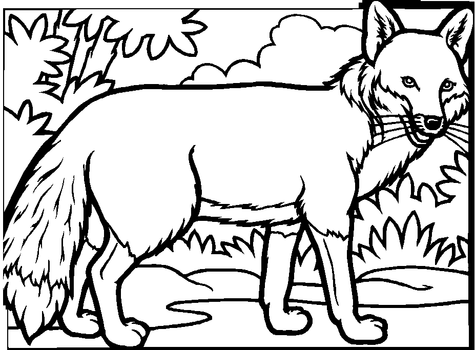 ぬりえページ: 狐 (動物) #14977 - 無料の印刷可能なぬりえページ