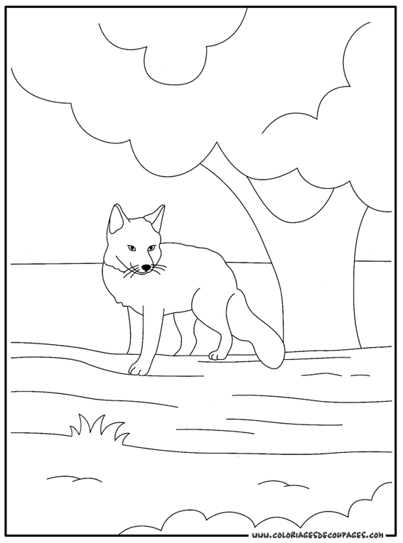 ぬりえページ: 狐 (動物) #15021 - 無料の印刷可能なぬりえページ